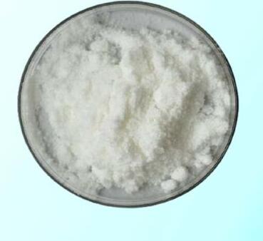 Polvo de ácido glutámico L