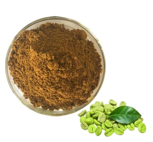 Extracto de grano de café verde 50 ácido clorogénico